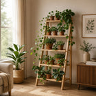 Planters
