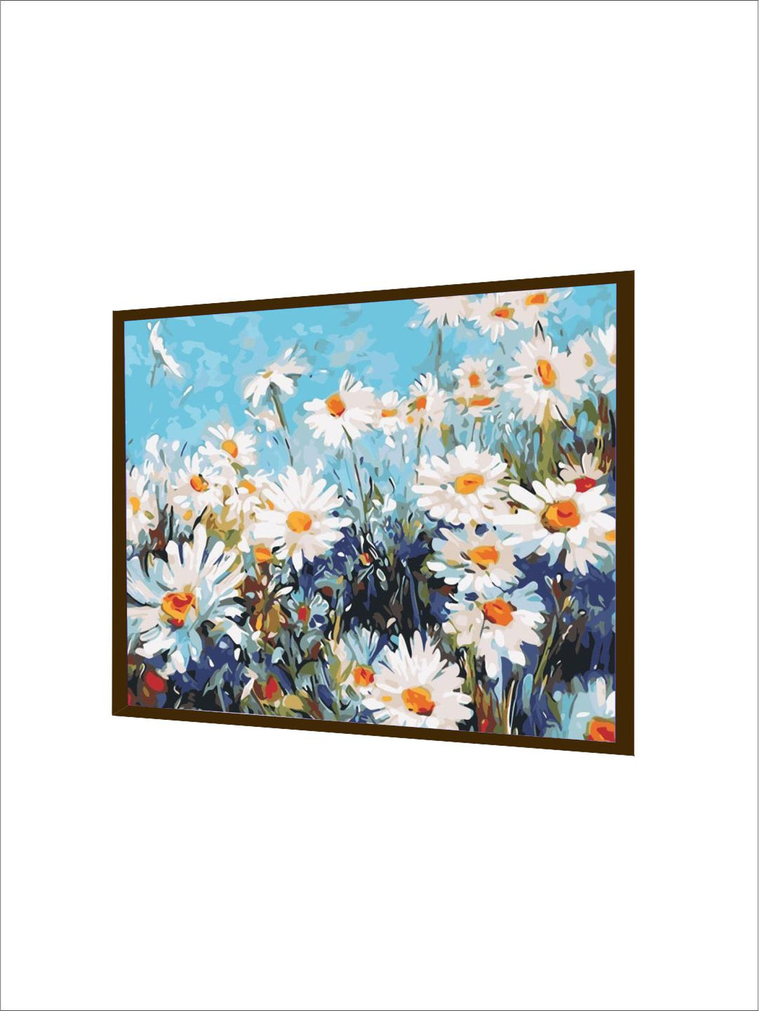 Daisies Dance in Breeze