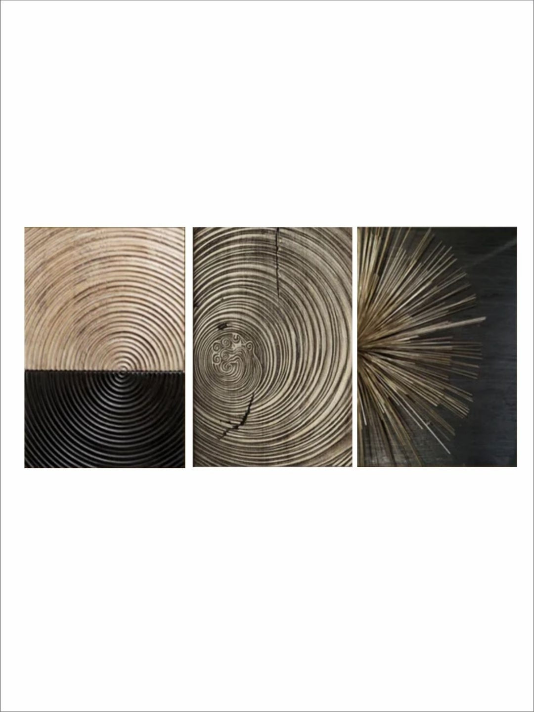 Harmonious Circles of Growth - Black gold framed art