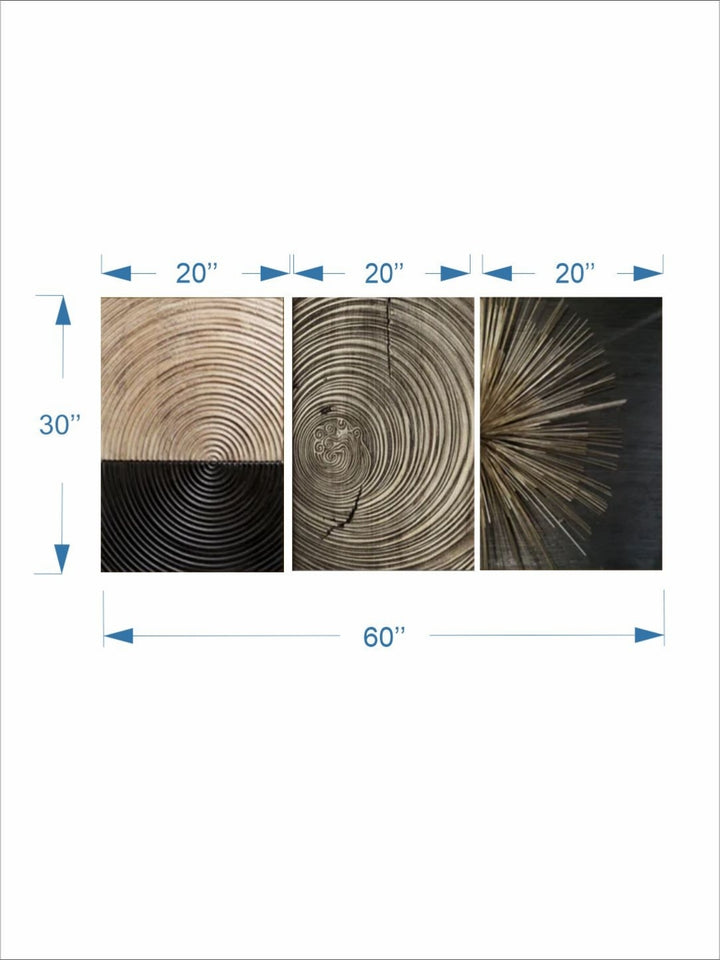 Harmonious Circles of Growth - Black gold framed art