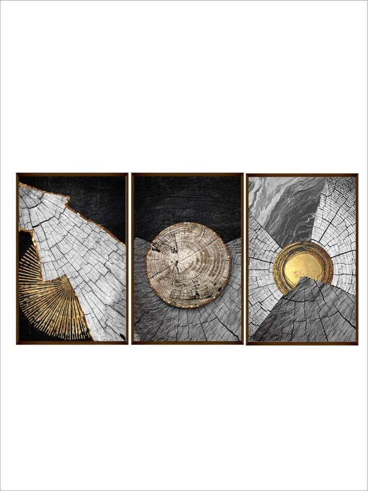 "Sliced Beauty Abstract Triptych - Modern Canvas Art "