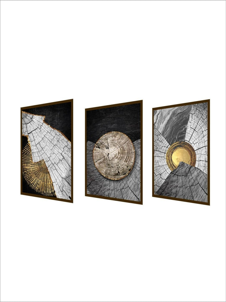 "Sliced Beauty Abstract Triptych - Modern Canvas Art "