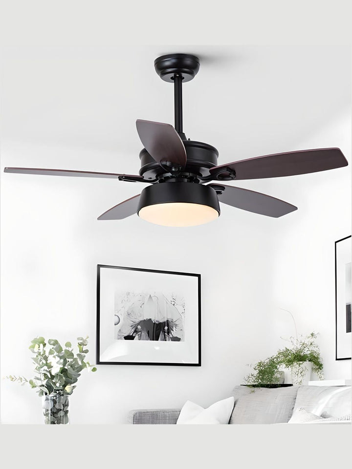 Designer Fans