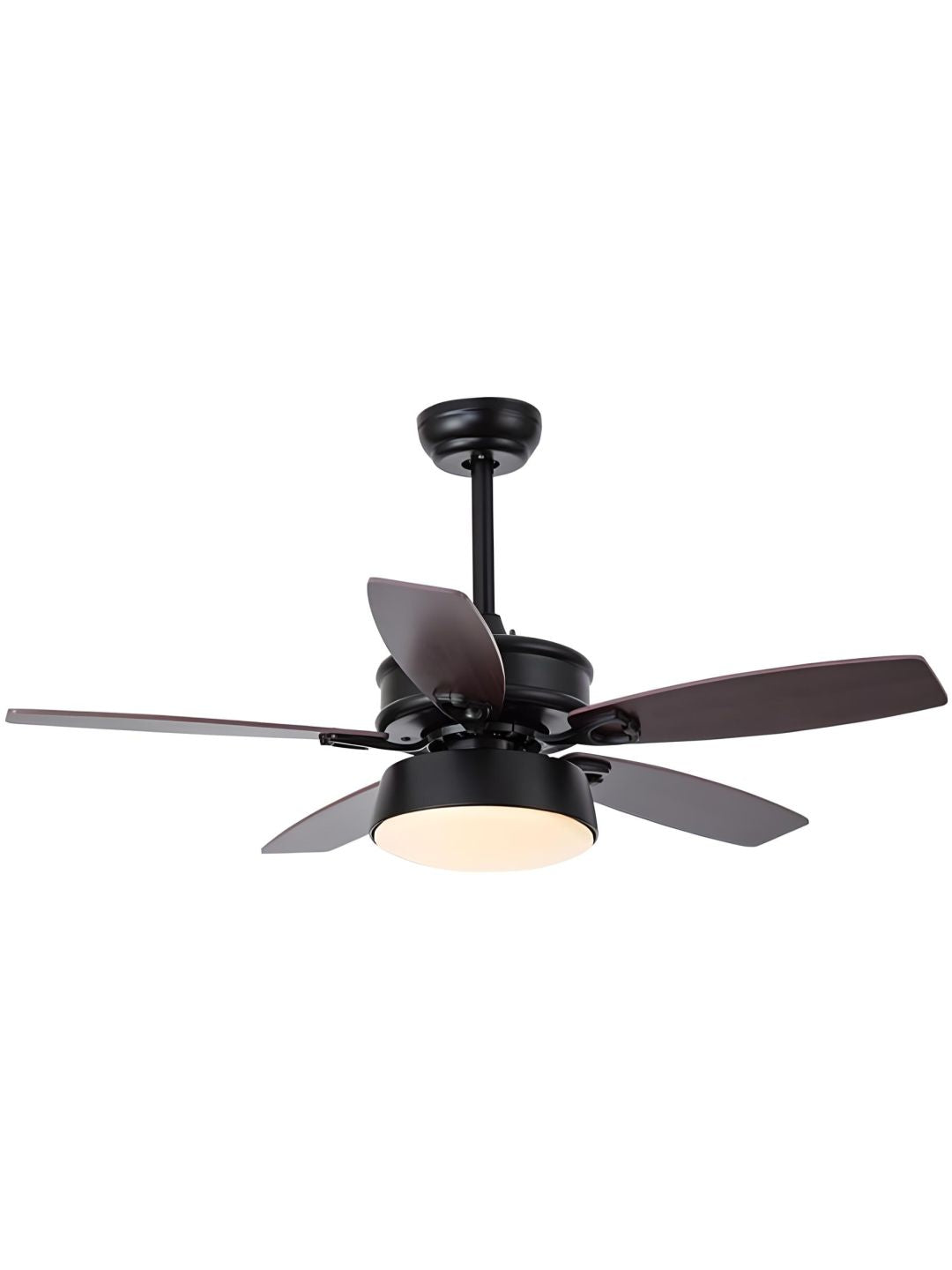 Designer Fans
