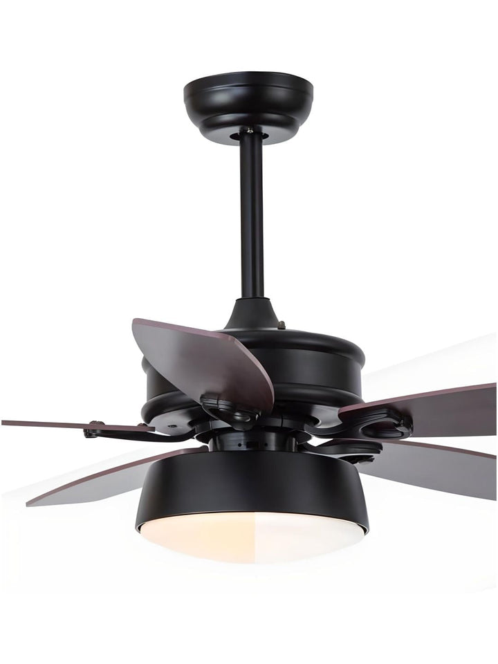 Designer Fans