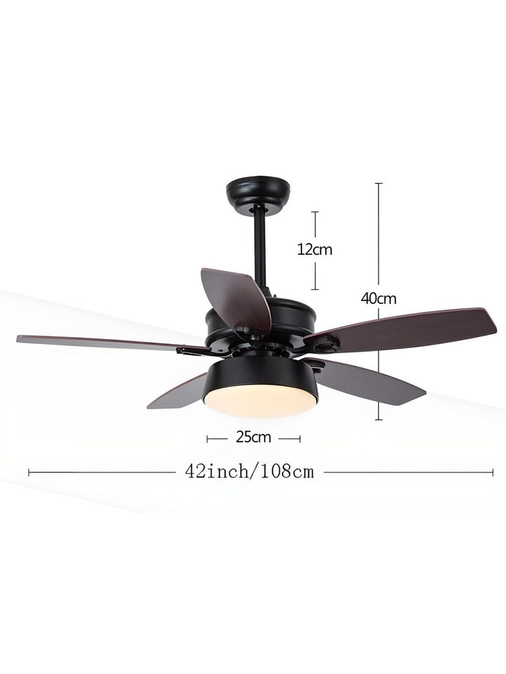 Designer Fans
