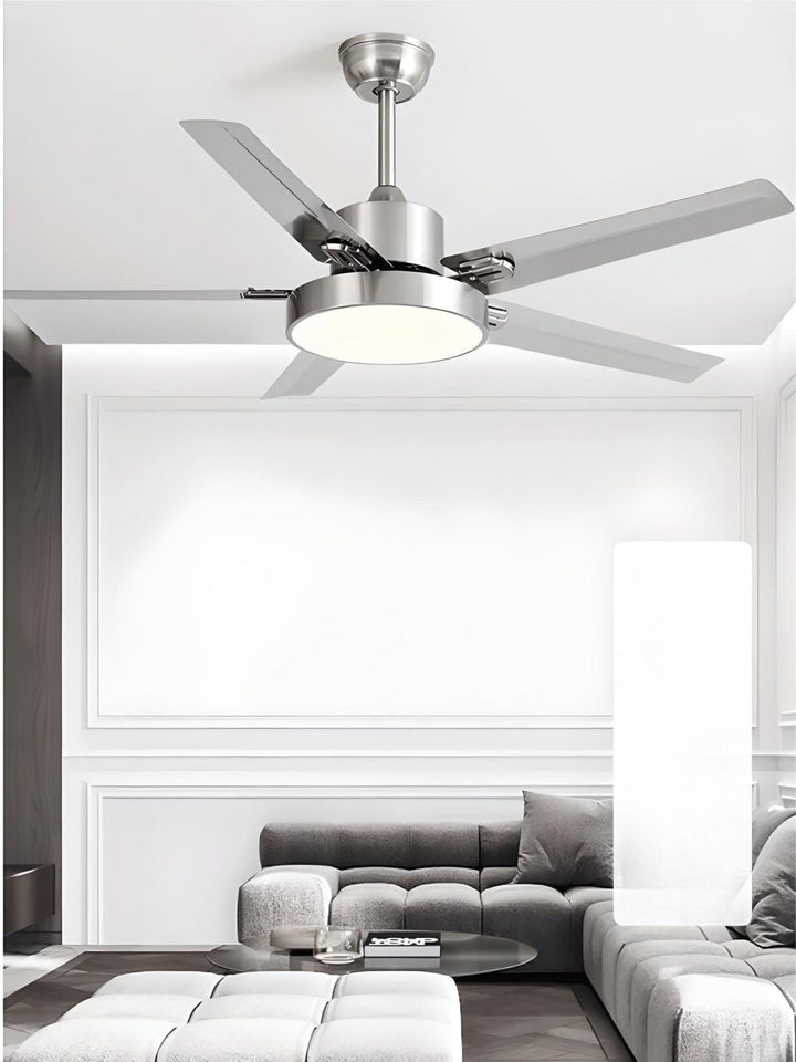 Designer Fans