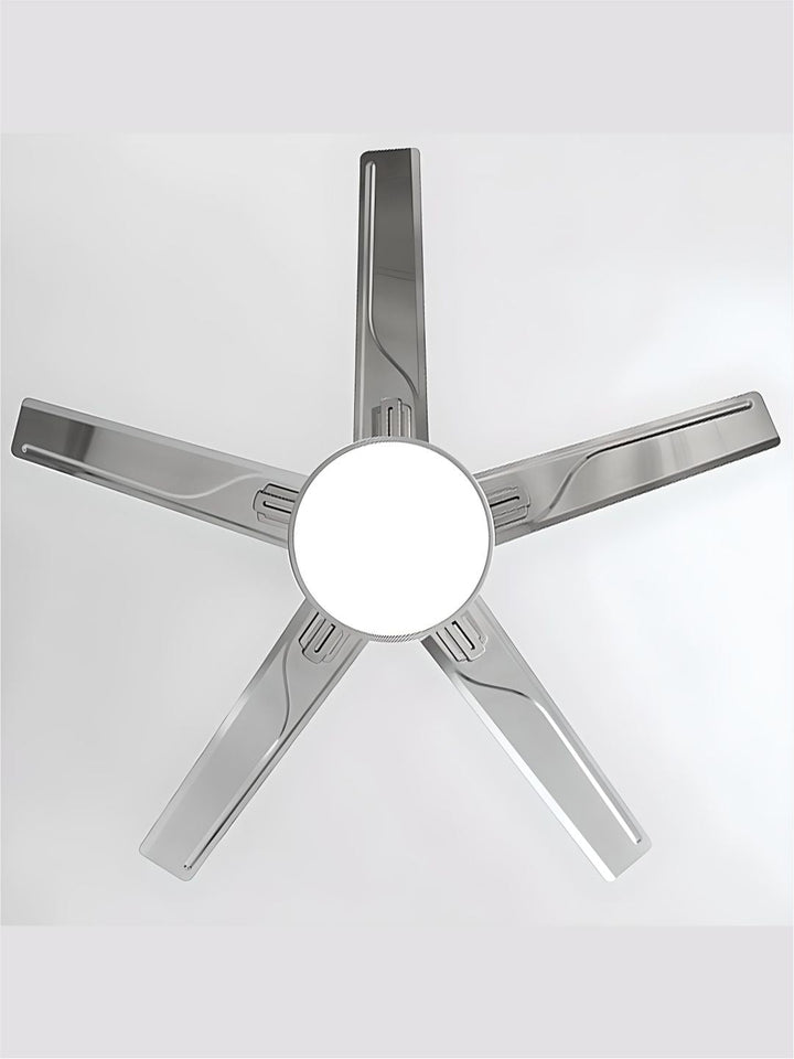 Designer Fans