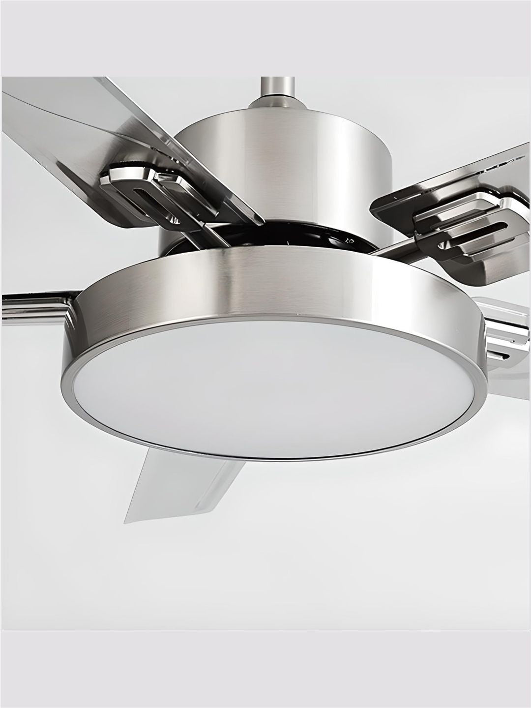 Designer Fans