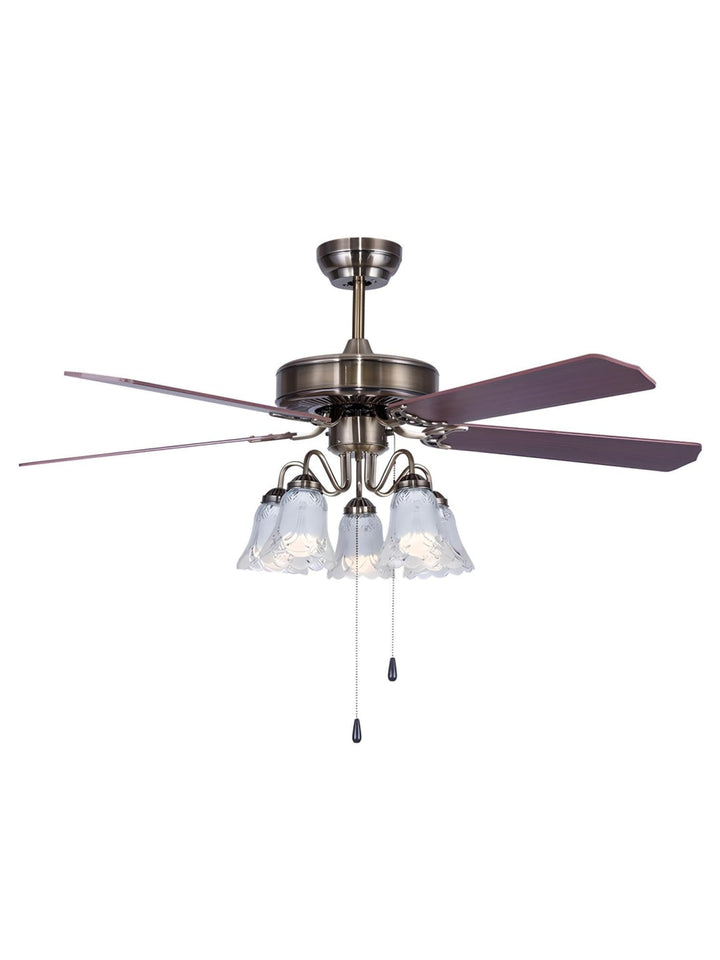 Designer Fans