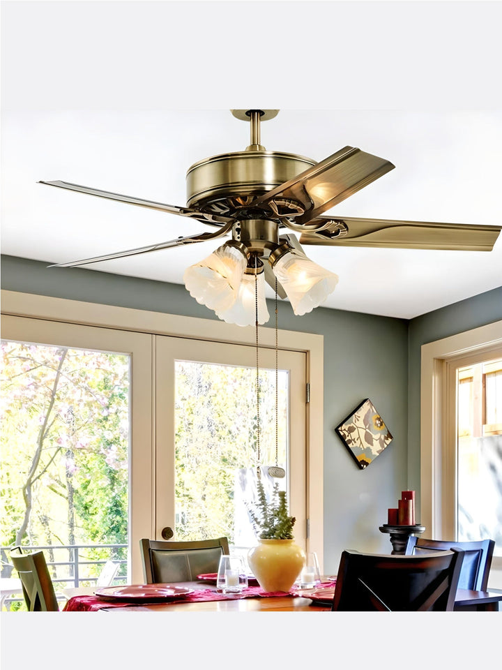 Designer Fans