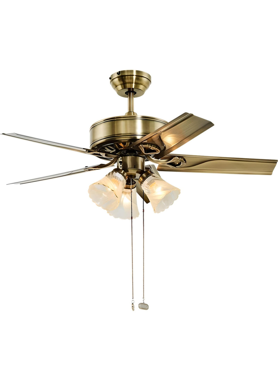 Designer Fans