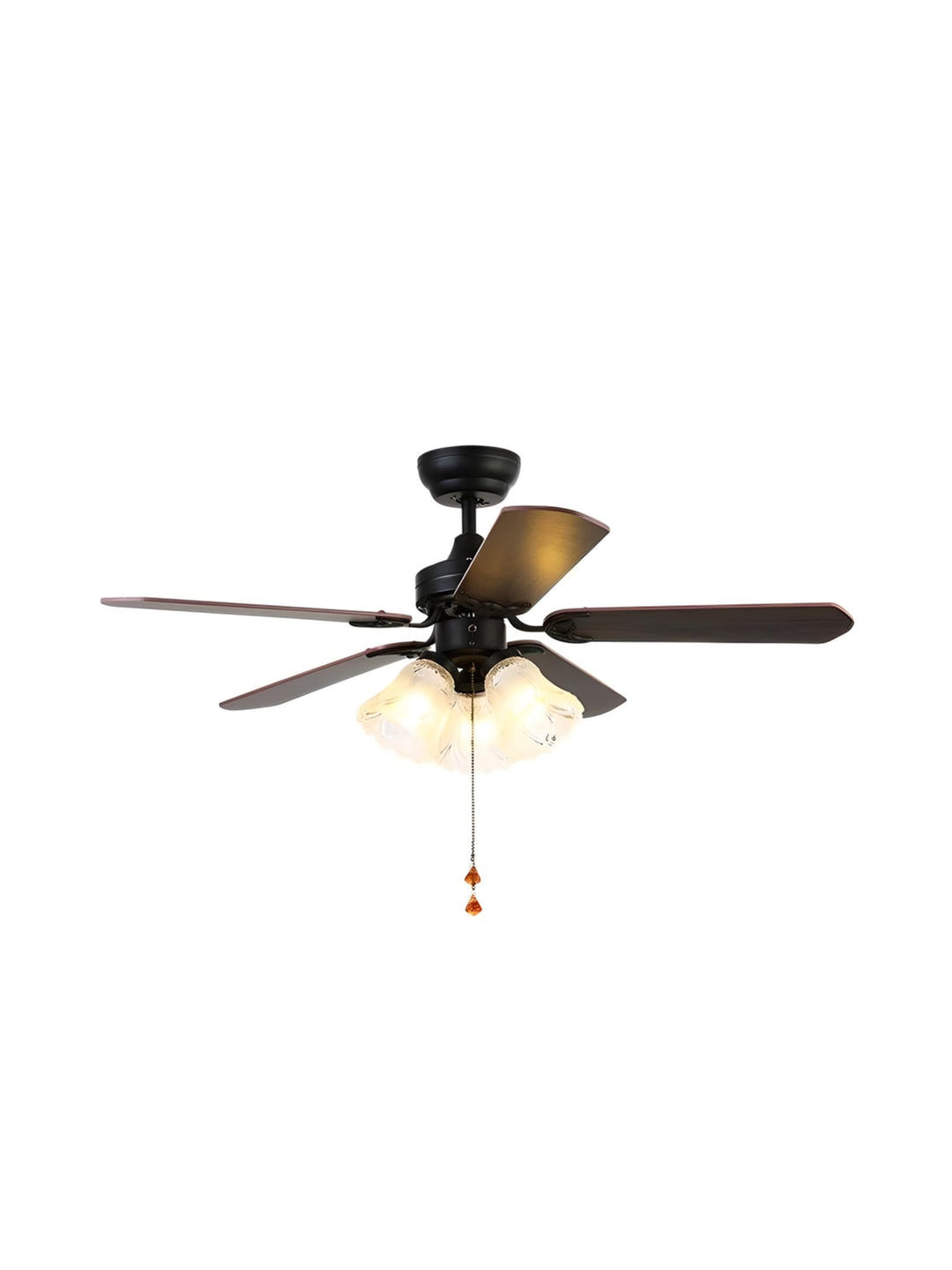 Designer Fans