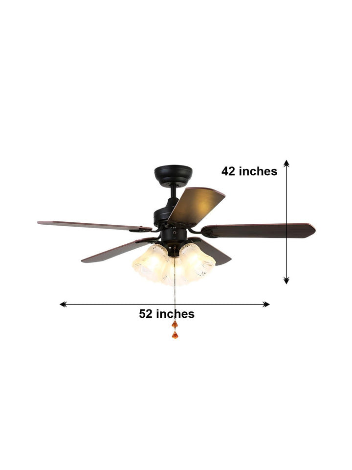 Designer Fans