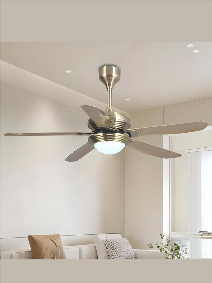 Designer Fans