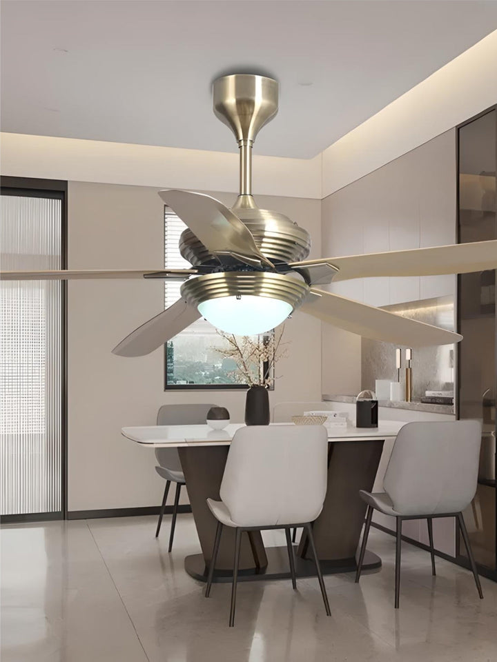 Designer Fans