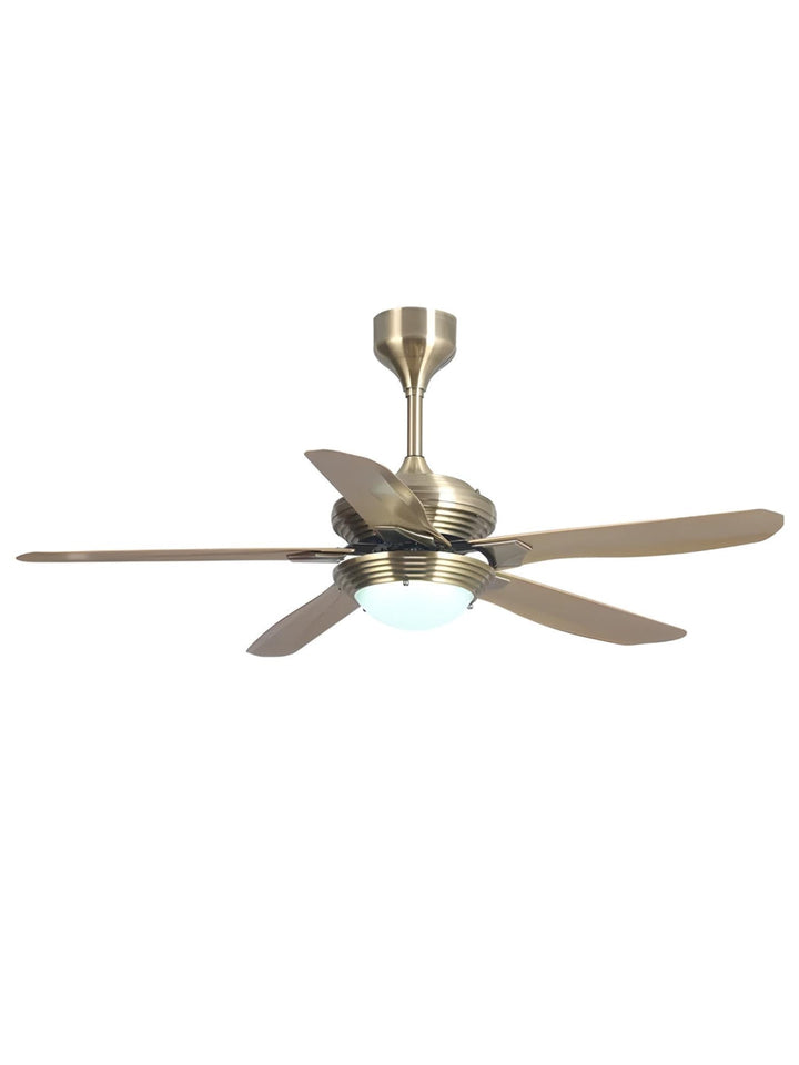 Designer Fans