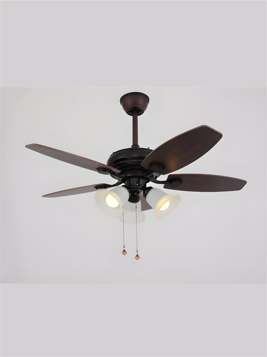 Designer Fans