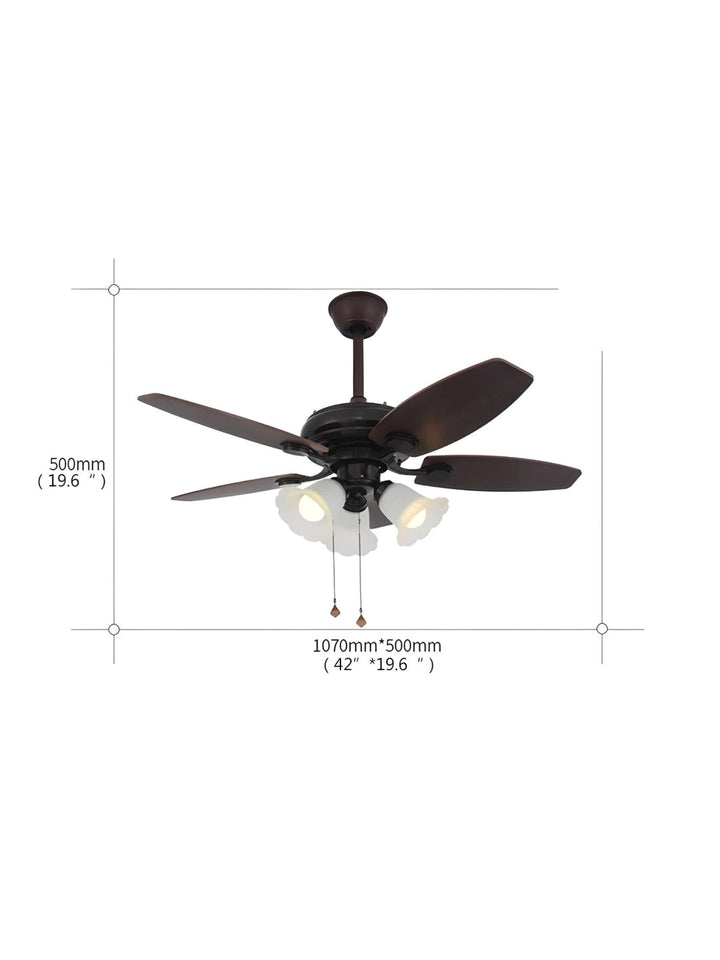 Designer Fans