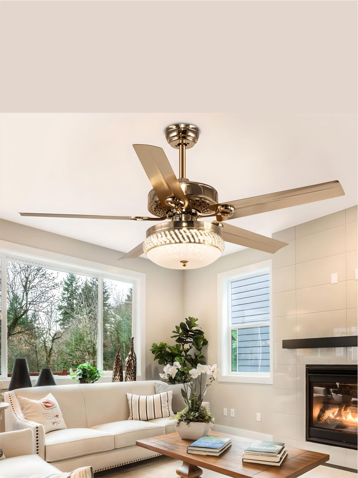 Designer Fans