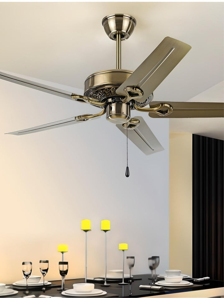 Designer Fans