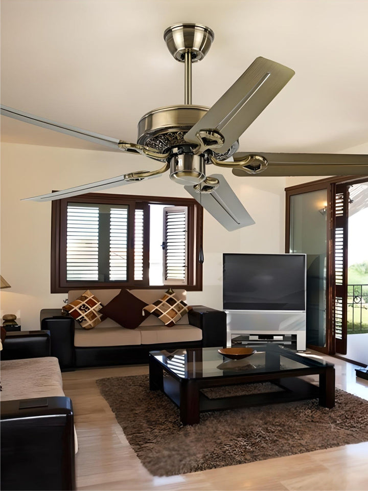 Designer Fans