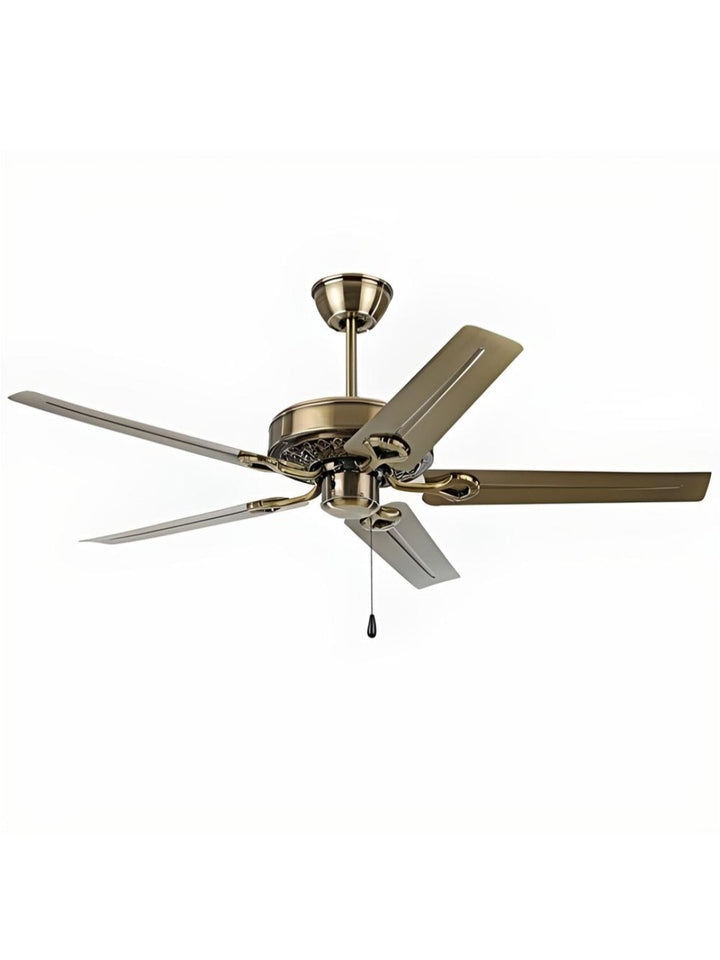 Designer Fans
