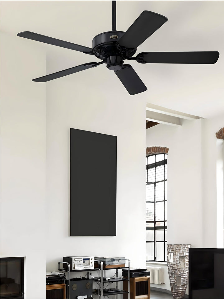 Designer Fans