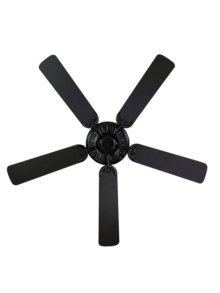 Designer Fans