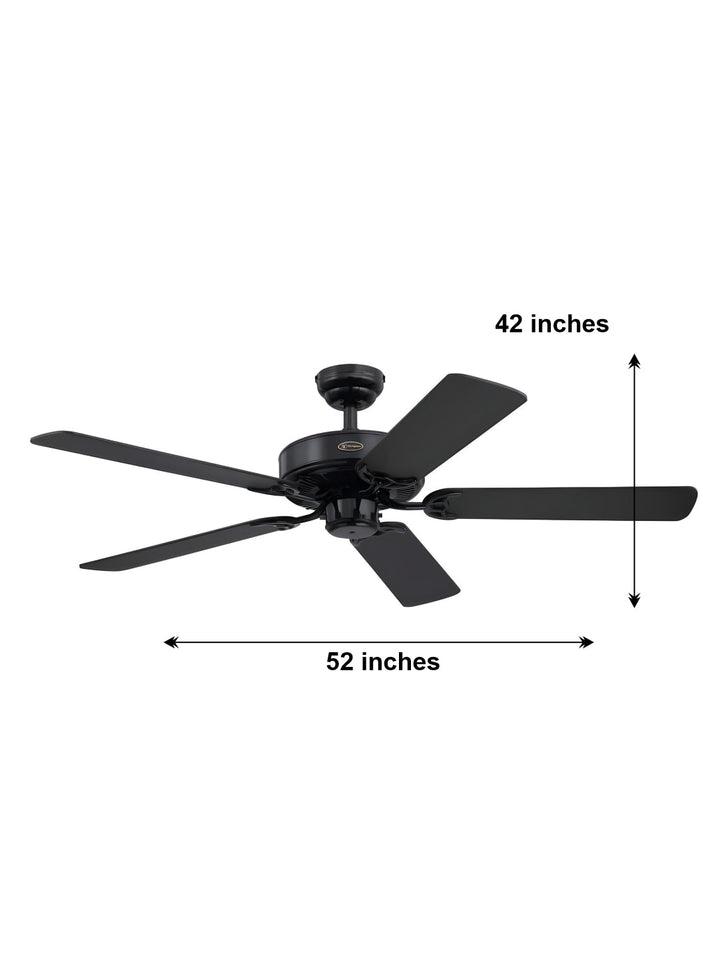 Designer Fans