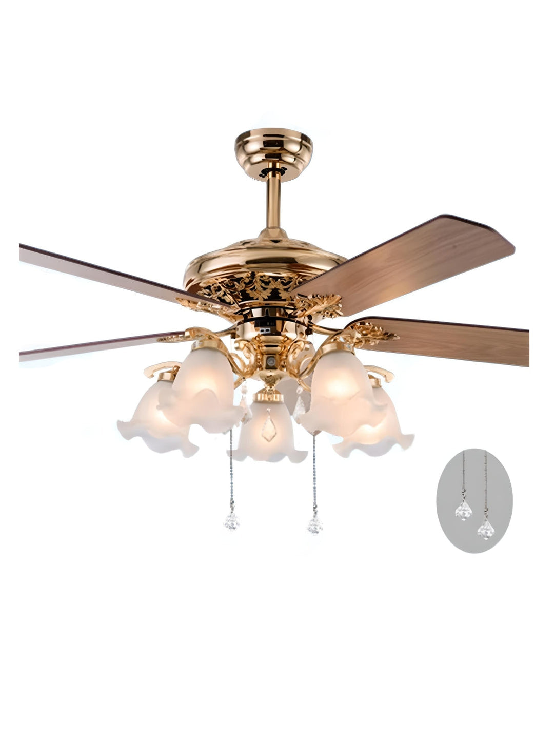 Designer Fans