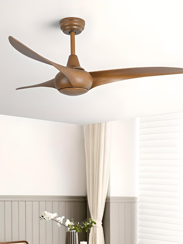 Designer Fans