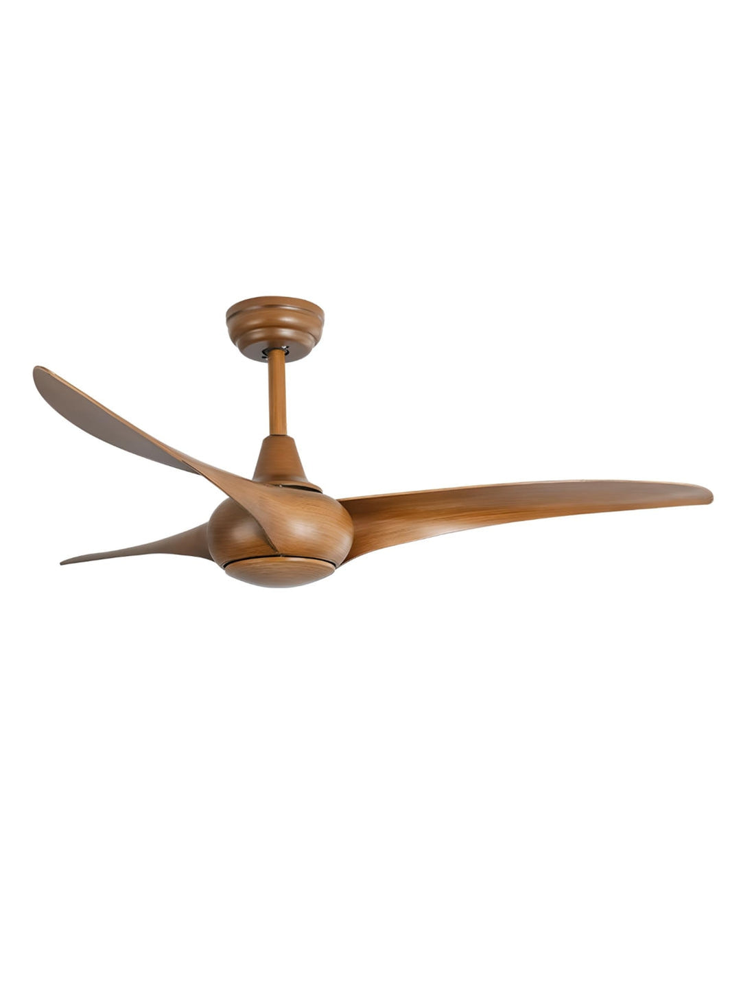 Designer Fans