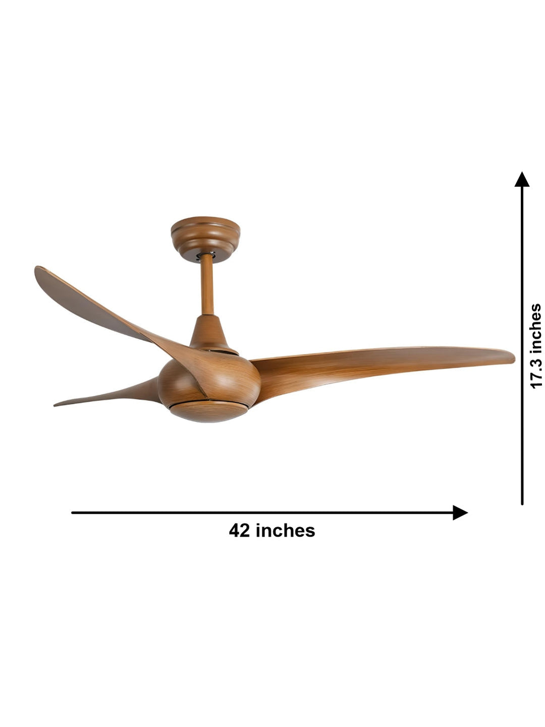 Designer Fans