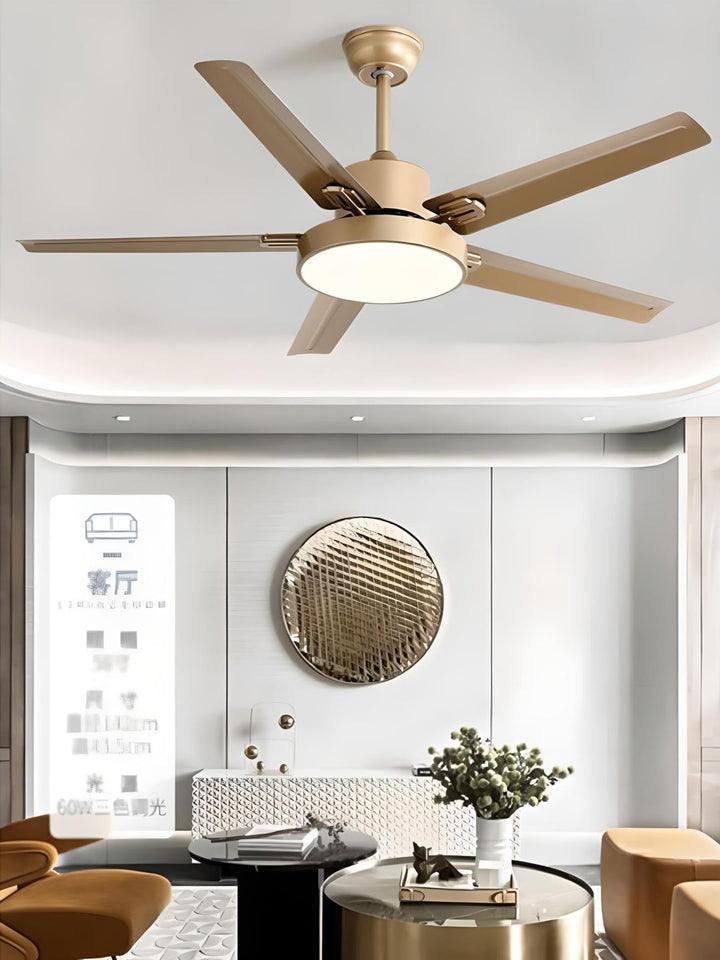 Designer Fans
