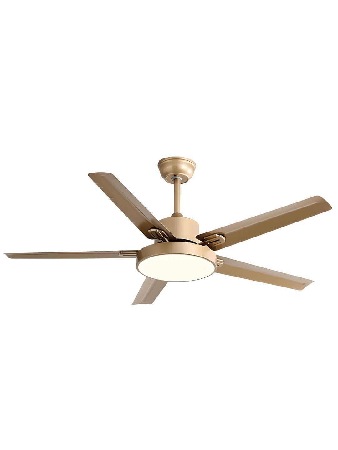 Designer Fans