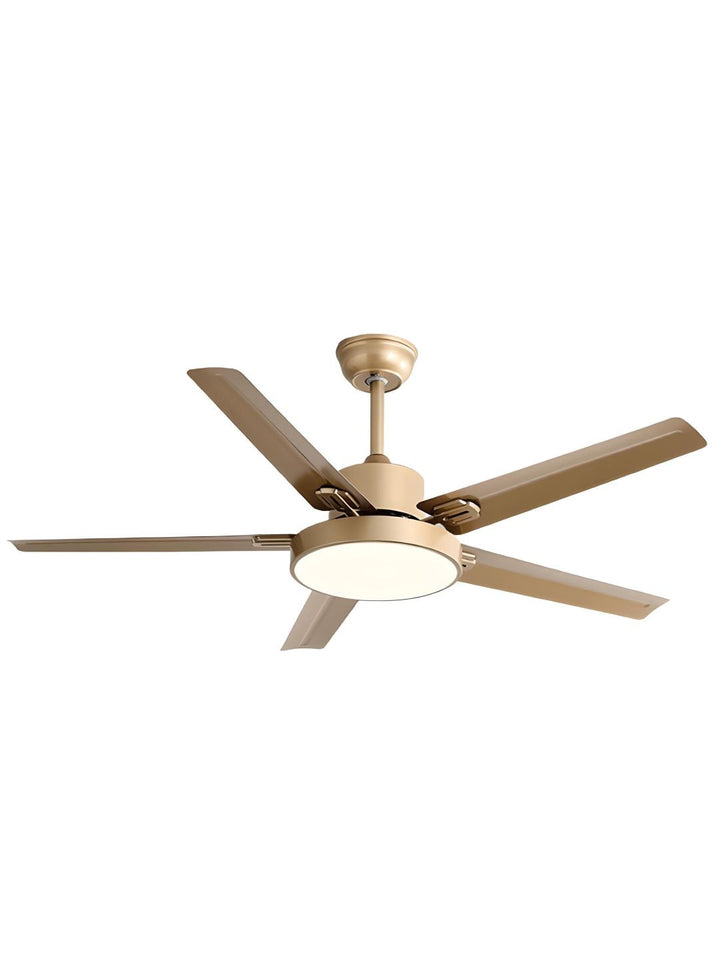 Designer Fans