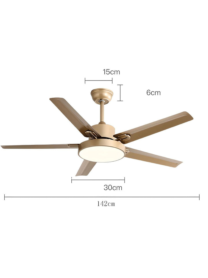 Designer Fans