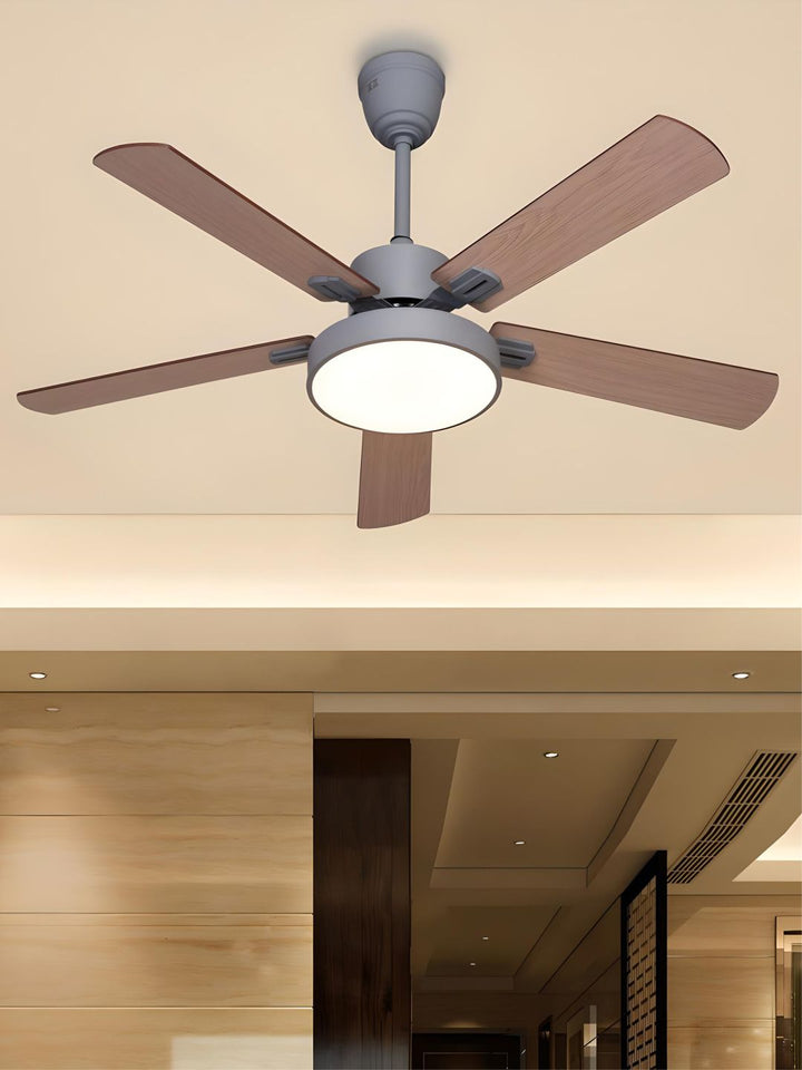 Designer Fans