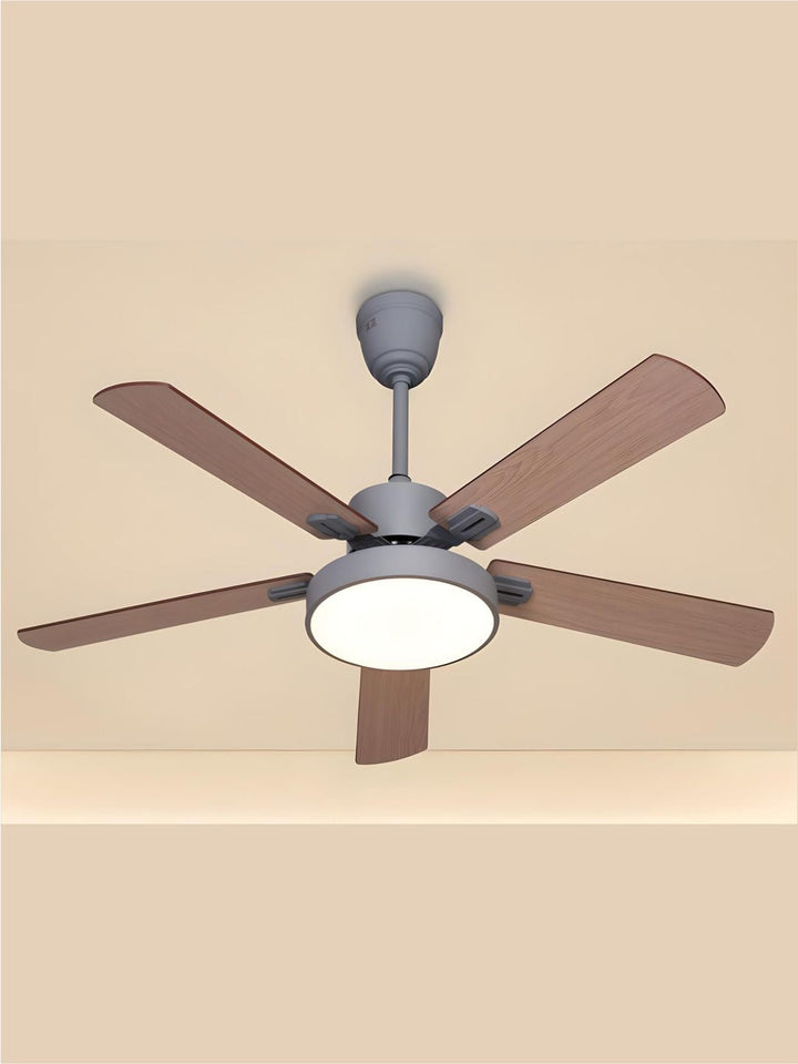 Designer Fans