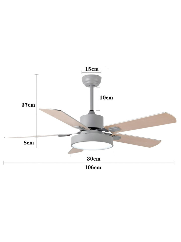 Designer Fans