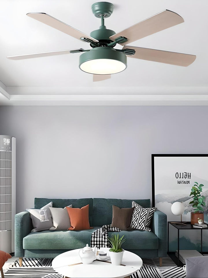 Designer Fans