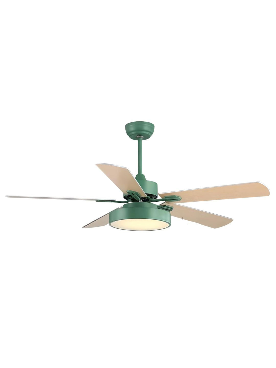 Designer Fans