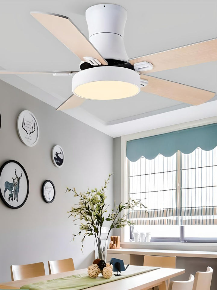 Designer Fans