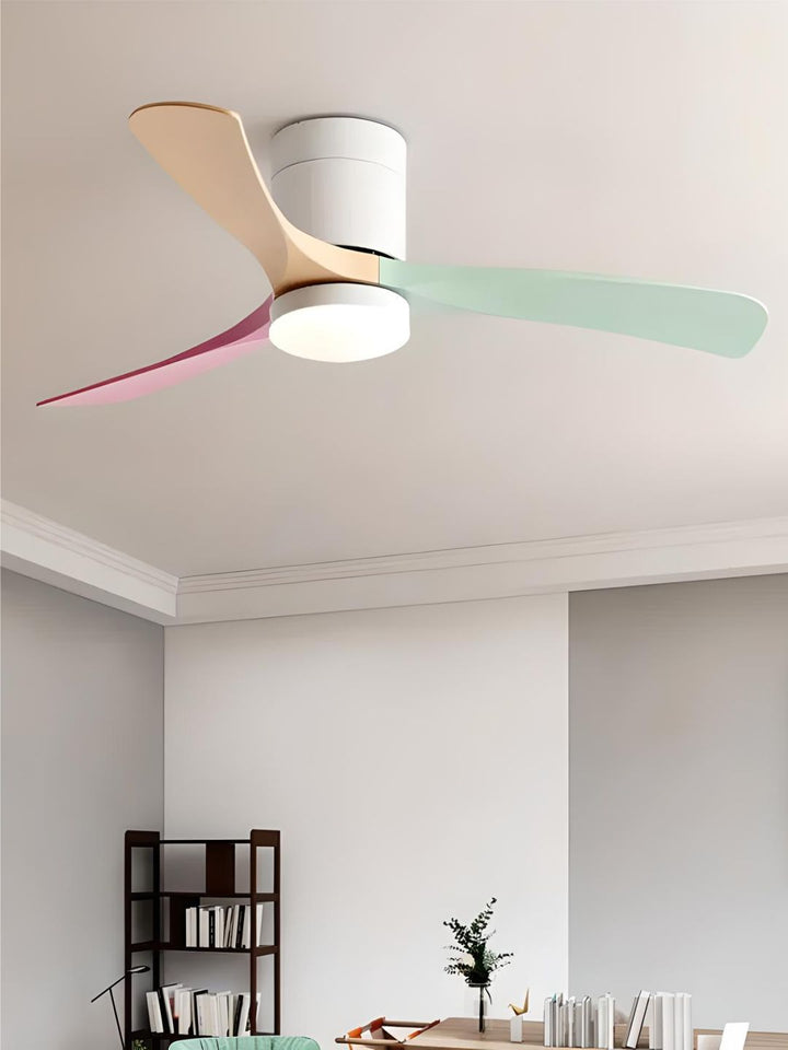 Designer Fans