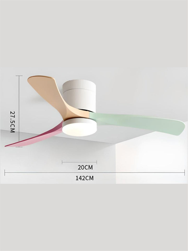Designer Fans