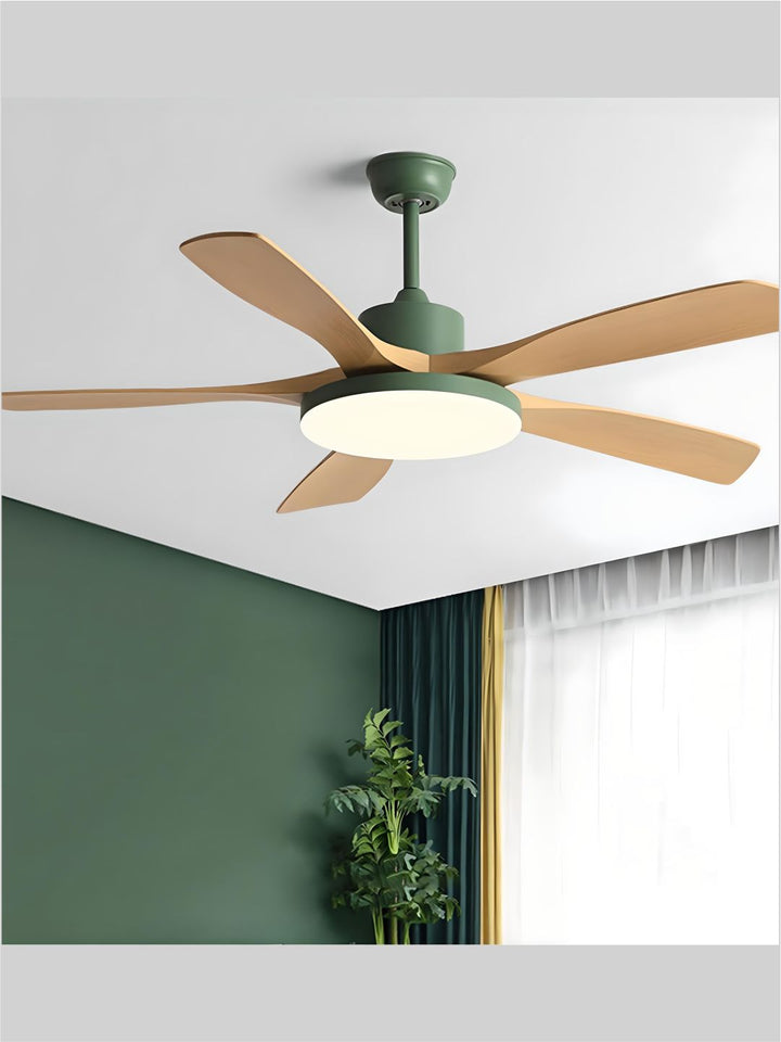 Designer Fans