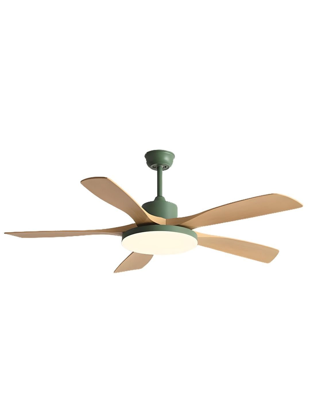 Designer Fans
