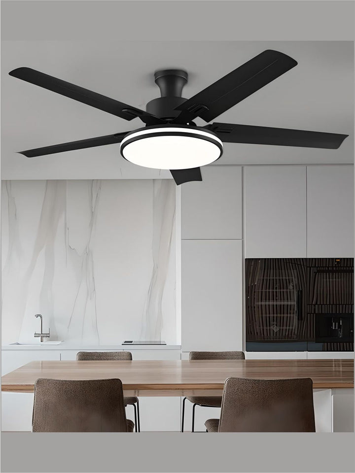 Designer Fans
