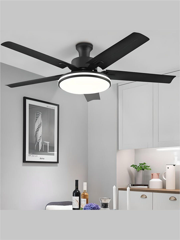 Designer Fans